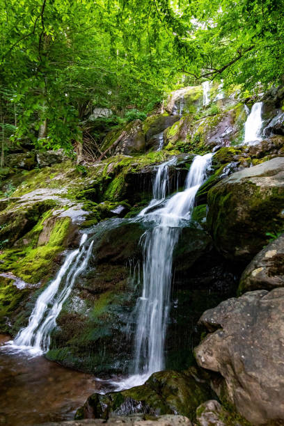 istock Scenic Dark Hollow Falls at Shenandoah National park in summer 1327362811