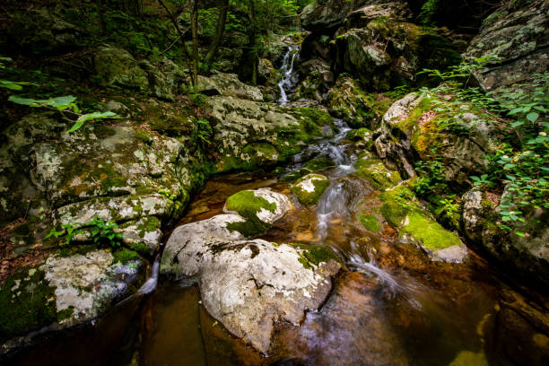 istock White Oak Canyon and Cedar Run trail loop waterfalls in Shenandoah National Park 1327362830