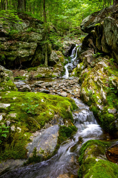 istock White Oak Canyon and Cedar Run trail loop waterfalls in Shenandoah National Park 1327362833
