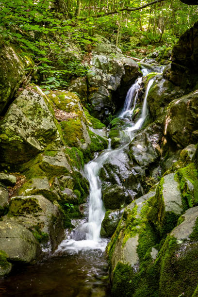 istock White Oak Canyon and Cedar Run trail loop waterfalls in Shenandoah National Park 1327362836
