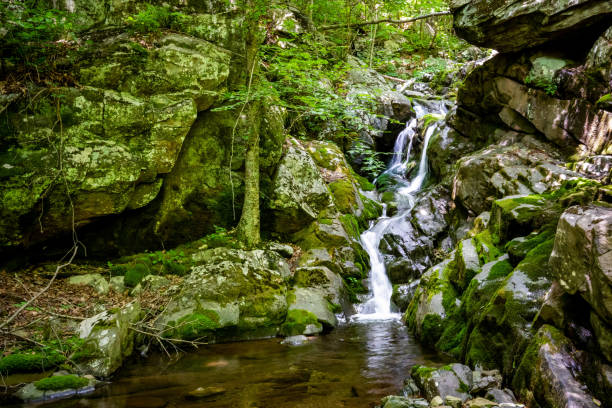 istock White Oak Canyon and Cedar Run trail loop waterfalls in Shenandoah National Park 1327362841