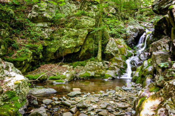 istock White Oak Canyon and Cedar Run trail loop waterfalls in Shenandoah National Park 1327362849