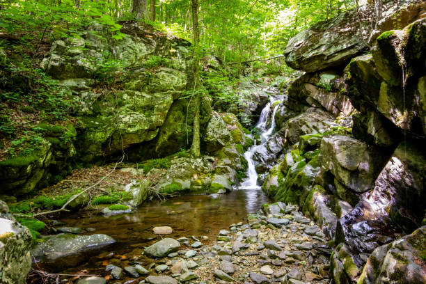 istock White Oak Canyon and Cedar Run trail loop waterfalls in Shenandoah National Park 1327362859