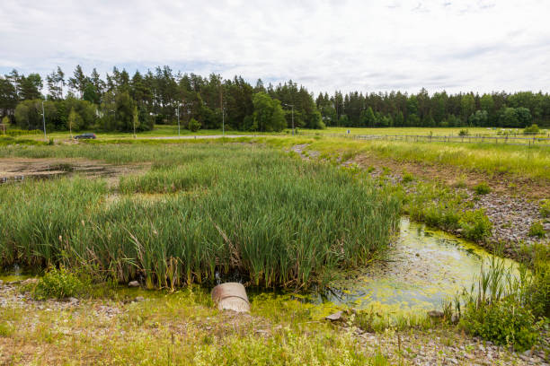 Beautiful summee nature landscape view background. Sweden.