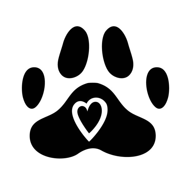 illustrazioni stock, clip art, cartoni animati e icone di tendenza di una zampa di cane con cuore nero è isolata su sfondo bianco. illustrazione vettoriale in stile doodle. zampa di un animale, cucciolo o gatto - pet