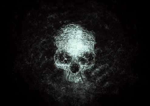 Skull of the human isolated on a black background. Black and white photo