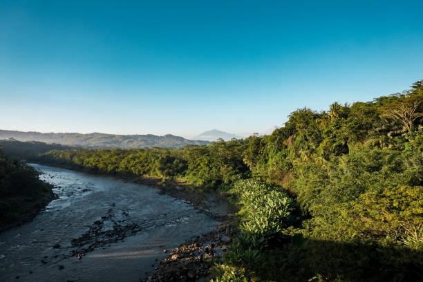 istock A big river divides the dense forest in the morning 1327376905