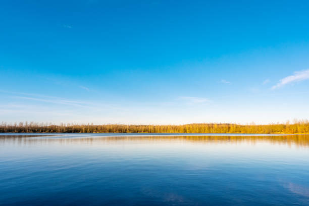 The blue sky and lake with golden trees on the shore, distant view