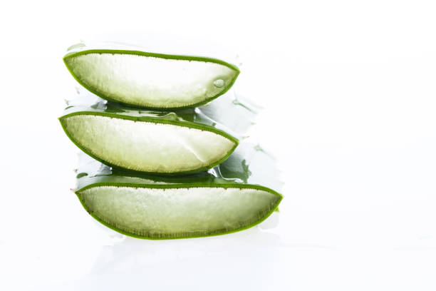 Aloe vera leaf cut. Close-up. Natural day light. Aloe vera is a very popular plant used medicinally all over the world. In the Western world, it is used as an important ingredient in the cosmetic and pharmaceutical industries.