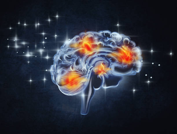 Human brain activity on dark background Human brain activity on dark background medulla stock illustrations