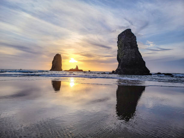 istock Reflections of the Pacific 1327380365