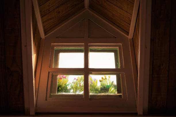 istock plants on wooden windows 1327384008