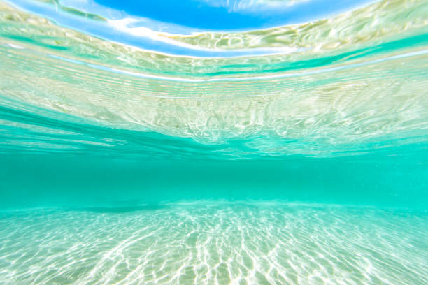 istock Below surface view of turquoise ocean water 1327384732