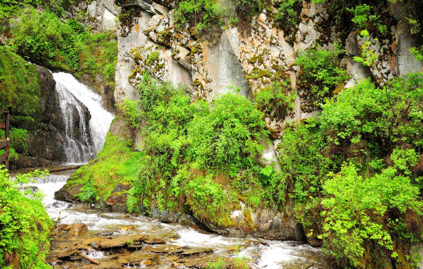 istock View of a beautiful waterfall, a step cascade descending from the mountain through the summer forest. 1327385585