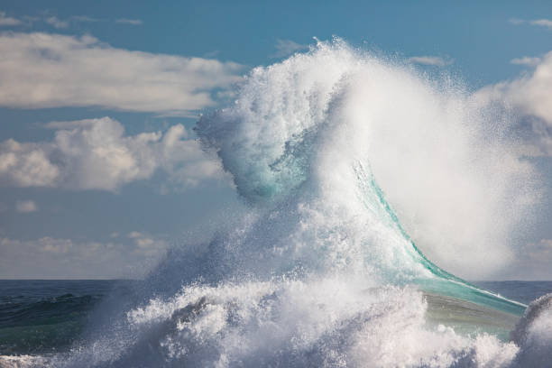 Powerfully crashing wave along pacific coastline in bright sunlight