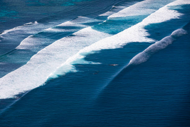 colpo di drone di linee di rigonfiamento blu intenso nell'oceano pacifico - tide foto e immagini stock