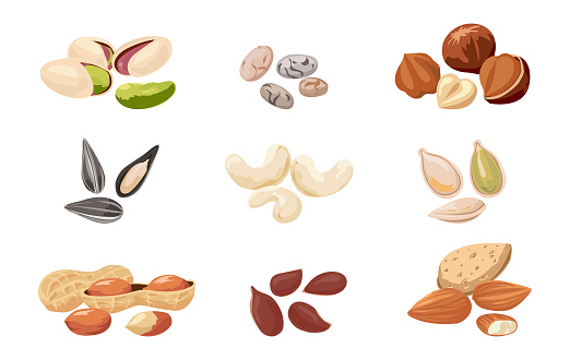 Nuts And Seeds Cartoon Pistachio Almonds And Hazelnuts Cashews Or Peanuts  Tasty Pumpkin Flax And Sunflower Grains Isolated Beans Vegan Snacks Vector  Natural Ingredients Set Stock Illustration - Download Image Now - iStock