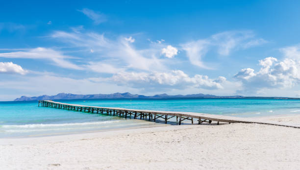 paysage avec promenade à platja de muro, alcudia - pier water tropical climate seascape photos et images de collection