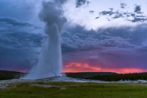 Yellowstone Old Faithful Eruption at Sunset Yellowstone’s main attraction, Old Faithful Geyser, erupts at sunset. upper geyser basin stock pictures, royalty-free photos & images