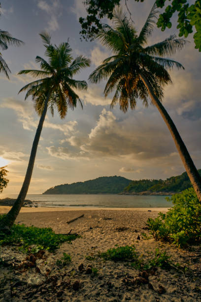 istock Lonely tropical beach late afternoon 1327399571