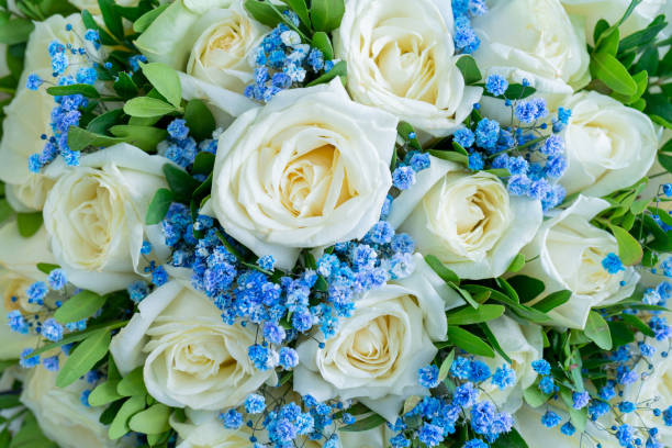 istock Flowers beautiful bouquet. 1327401818