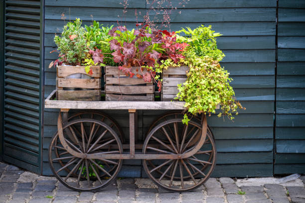 Old wooden cart with potted plants Old wooden cart with potted plants at Camden Market camden market stock pictures, royalty-free photos & images