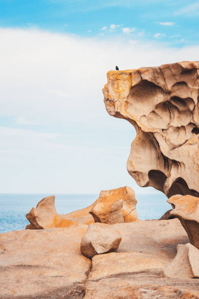 Remarkable Rocks, Flinders Chase National Park Iconic Remarkable Rocks  on Kangaroo Island, South Australia flinders chase national park stock pictures, royalty-free photos & images
