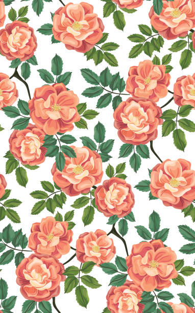 Seamless pattern with large lush wild rose flowers. Vector. Delicate floral print with large pink flowers on a branch and green leaves. Seamless botanical pattern on a white background. Imitation of watercolor, vector. cottagecore stock illustrations