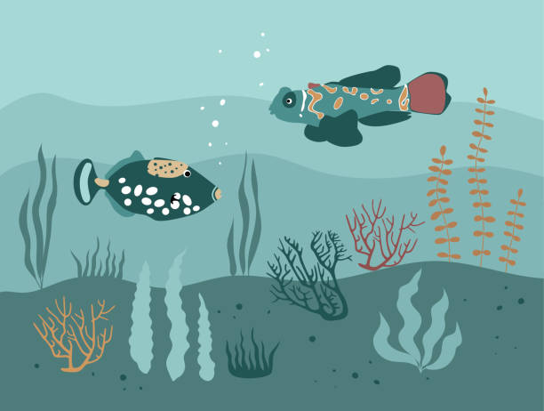 vector color flat illustration of underwater life. hand drawn ocean fish, algae, seaweed, water plant and coral. - 銀線小丑魚 幅插畫檔、美工圖案、卡通及圖標