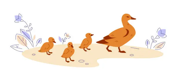 Vector illustration of Mother duck with ducklings in nature. Vector illustration in flat cartoon style.