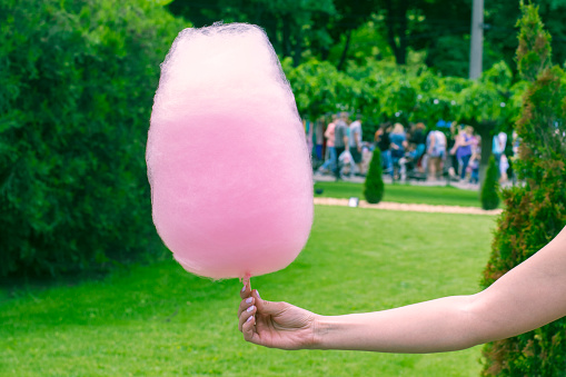 Sweet cotton wool of pink color on a stick in hand on a park background