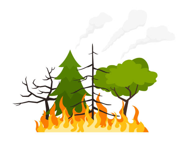 ilustraciones, imágenes clip art, dibujos animados e iconos de stock de árboles en llamas. daños al paisaje. desastre de la ecología de la naturaleza. - wildfire smoke