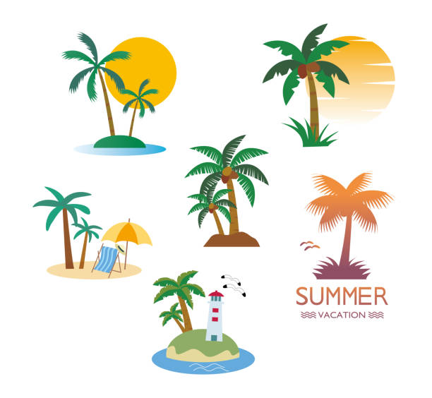 illustrations, cliparts, dessins animés et icônes de ensemble tropical de palmiers - hawaii islands big island beach hawaiian culture