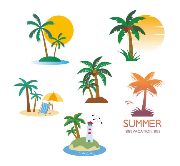 stockillustraties, clipart, cartoons en iconen met palm tree tropical set - onbewoond eiland