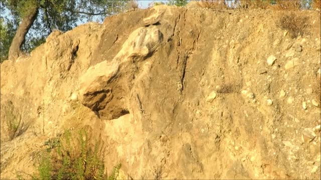 Rock in embankment resembling face with big nose