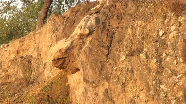 Rock in embankment resembling face with big nose
