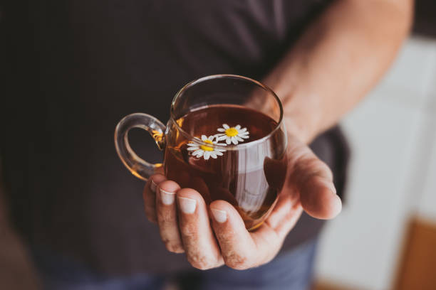 la mano masculina está sosteniendo una taza de vidrio con té de manzanilla - manzanilla fotografías e imágenes de stock