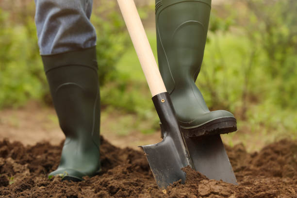 istock Worker digging soil with shovel outdoors, closeup. Gardening tool 1327420038