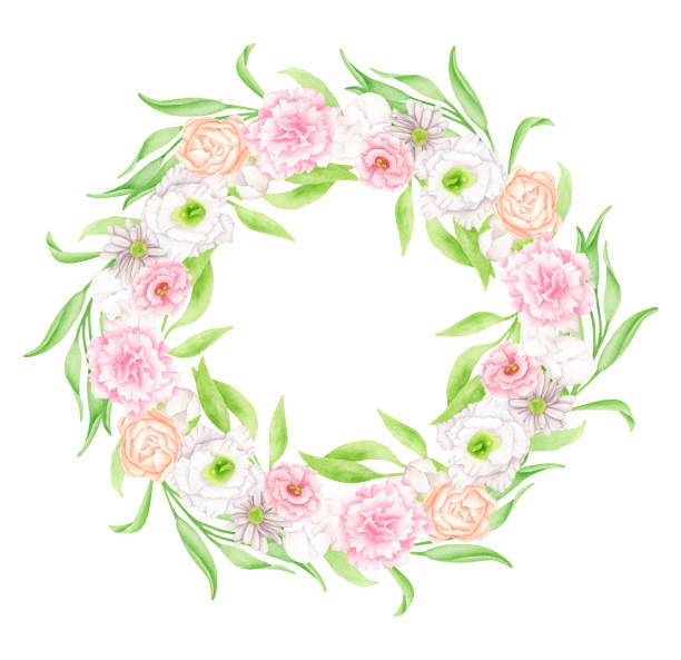 Watercolor floral wreath. Hand drawn round floral frame isolated on white background Watercolor floral wreath. Hand drawn round floral frame isolated on white background. Elegant circular composition with blush pastel flower buds, greenery for wedding invitations, save the date drawing of a green lisianthus stock illustrations