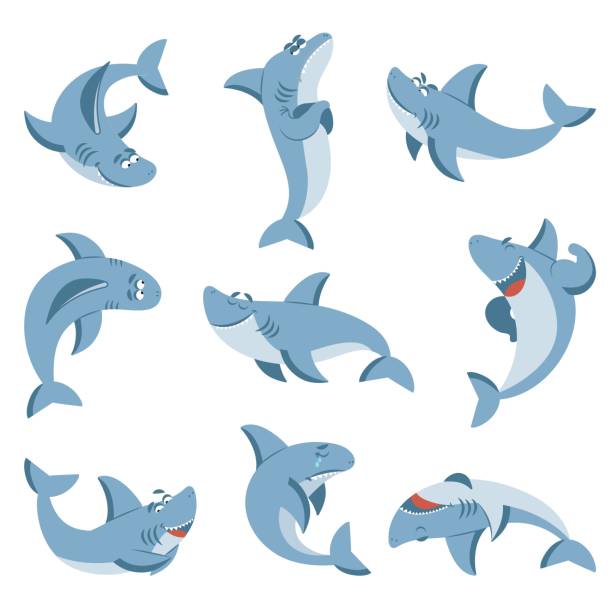 Ilustración de Tiburón De Dibujos Animados Tiburones Gráficos Peces Lindos  Para Niños Niños Verano Mar Salvaje Animal Animales Aislados De La Playa De  La Fauna Oceánica Caracteres Vectores Decentes y más Vectores