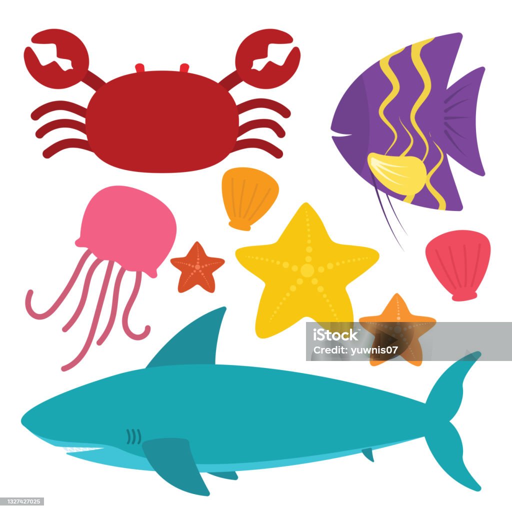 Sea Animals Collection In Flat Crab Shark Clam Fish Jellyfish Starfish  Vector Stock Illustration - Download Image Now - iStock