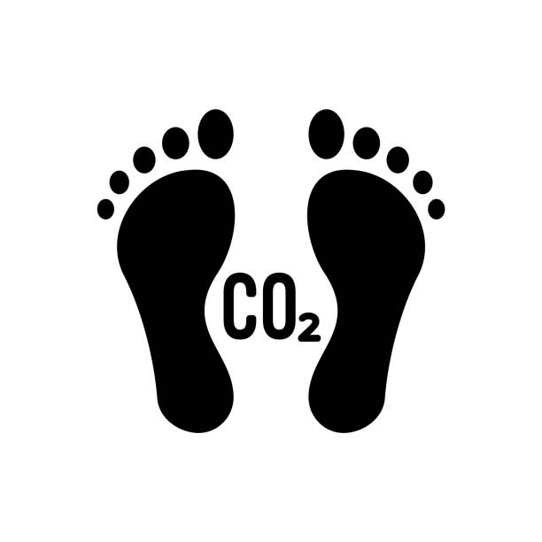 Carbon footprint icon. Black footprints with CO2 text. Two human feet. Toxic gases pollution, global warming concept. Environmental damage. Fossil fuel. Zero emission goal. Vector illustration, clip art carbon footprint stock illustrations