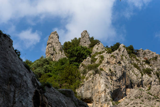 istock cliffs of Capri island, Capri, Italy 1327428478