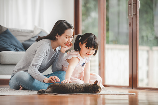 Happy Asian family mother and daughter palying with cat at home in living room. Focused on mother