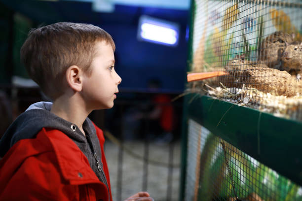 istock Child feeding mice with carrots 1327429482