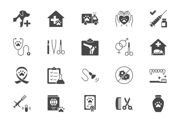 illustrations, cliparts, dessins animés et icônes de icônes plates vétérinaires. illustration vectorielle comprennent icône - stéthoscope, toilettage, , rayons x, échographie, vaccination, pictogramme de silhouette de glyphe de stérilisation pour clinique vétérinaire. couleur noire - grooming