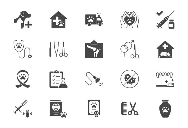 stockillustraties, clipart, cartoons en iconen met veterinary flat icons. vector illustration include icon - stethoscope, grooming, , xray, ultrasound, vaccination, sterilization glyph silhouette pictogram for vet clinic. black color - huisdier
