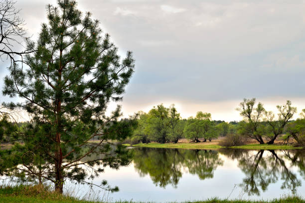 istock spring river landscape green trees reflecting in the water sky in the clouds 1327433504