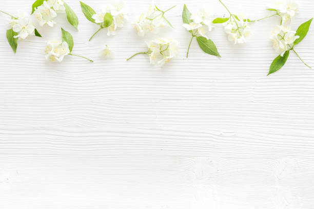 istock White jasmine flowers with green leaves flat lay 1327435835