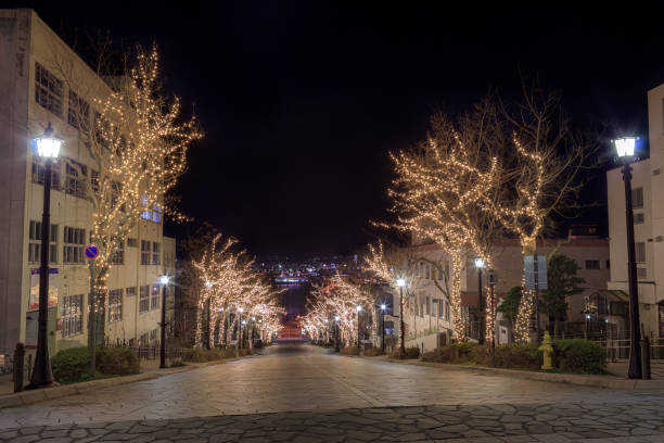 Winter night view of Hakodate city in Hokkaido prefecture, Japan This is a winter night view of Hakodate city in Hokkaido prefecture, Japan.
Hakodate city is well known as a tourist destination in this prefecture, especially winter season. hakodate stock pictures, royalty-free photos & images